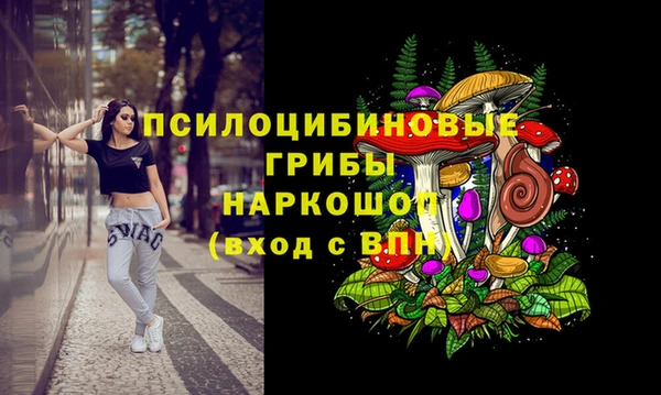 гашик Нягань