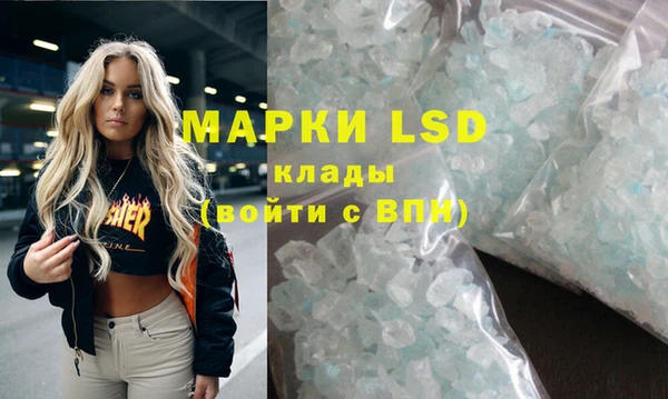 спайс Няндома