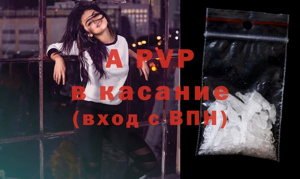 спайс Няндома