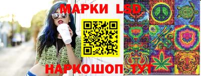 стаф Дубна