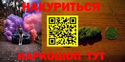 стаф Дубна