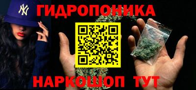 стаф Дубна