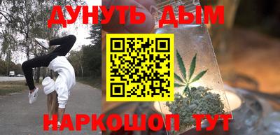 стаф Дубна