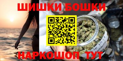 стаф Дубна