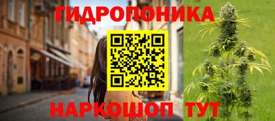 стаф Дубна