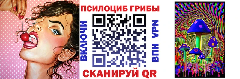 Галлюциногенные грибы Psilocybine cubensis  Сорочинск 