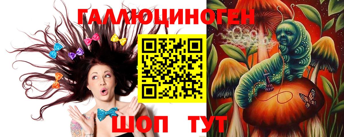 Псилоцибиновые грибы Psilocybe  Сорочинск 